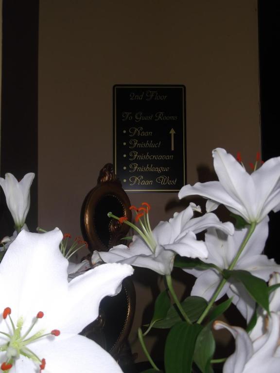 Knockninny Country House & Marina Derrylin Extérieur photo